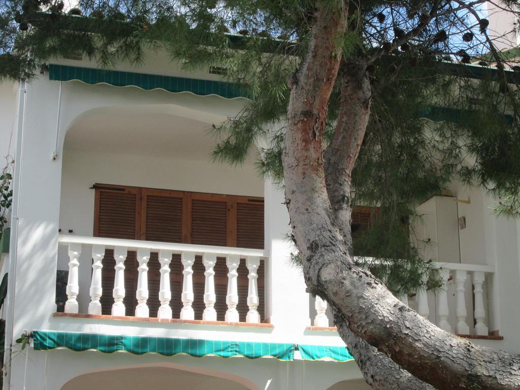 Residence Los Jardines Alcossebre 部屋 写真